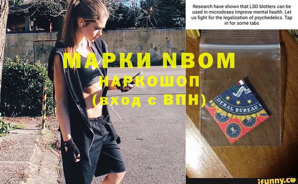индика Баксан