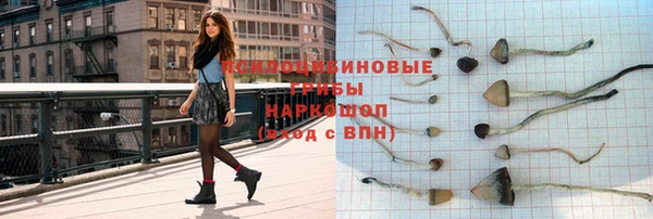 индика Баксан