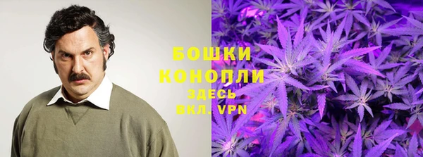 индика Баксан