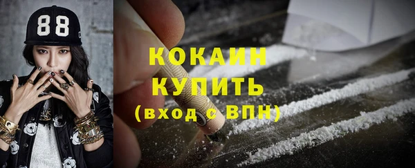 индика Баксан