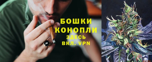 индика Баксан