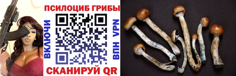 Галлюциногенные грибы MAGIC MUSHROOMS  где продают   Усть-Илимск 